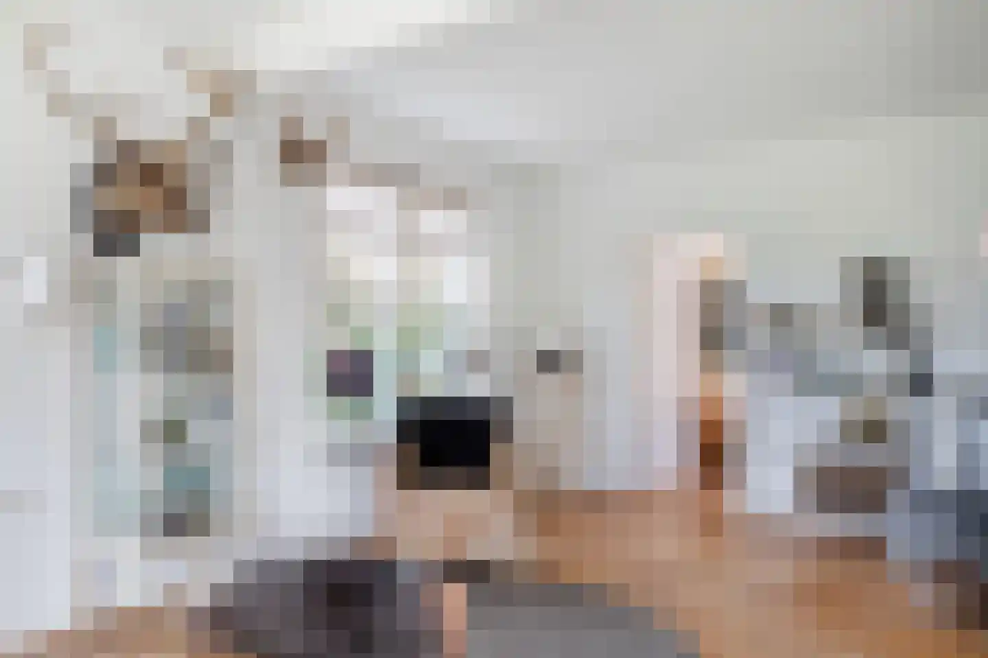 Vriezerweg 19 Tynaarlo thumbnail 30