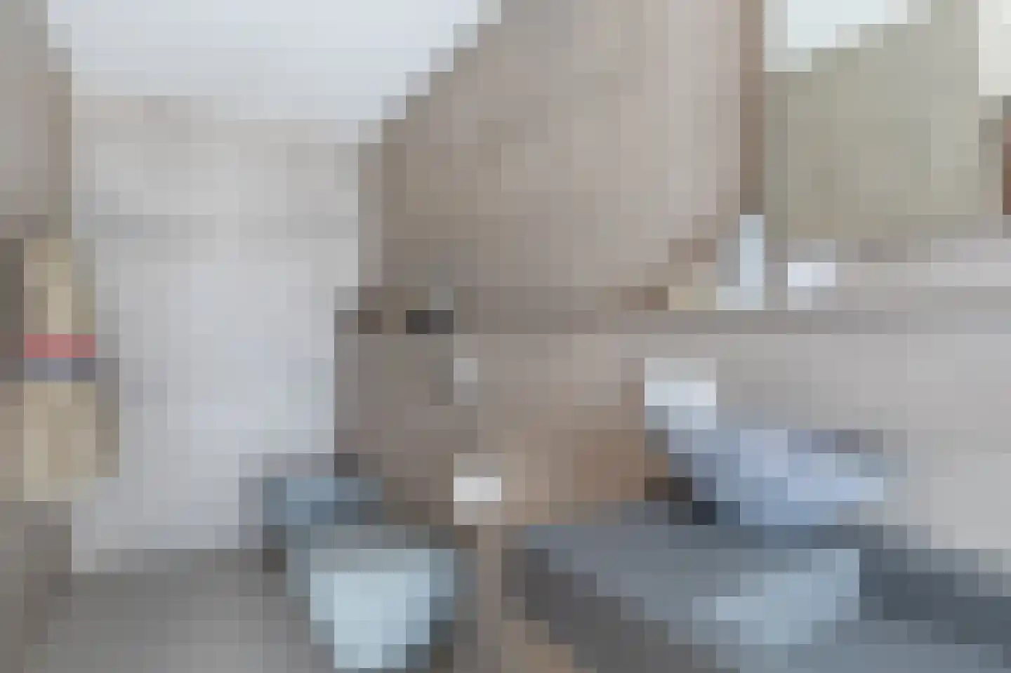 Vriezerweg 19 Tynaarlo thumbnail 37