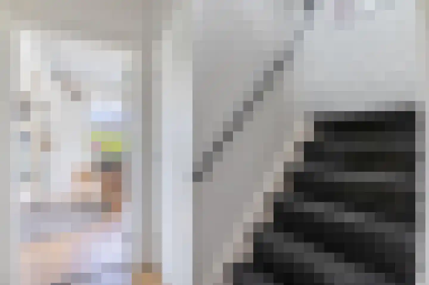 Vriezerweg 19 Tynaarlo thumbnail 38