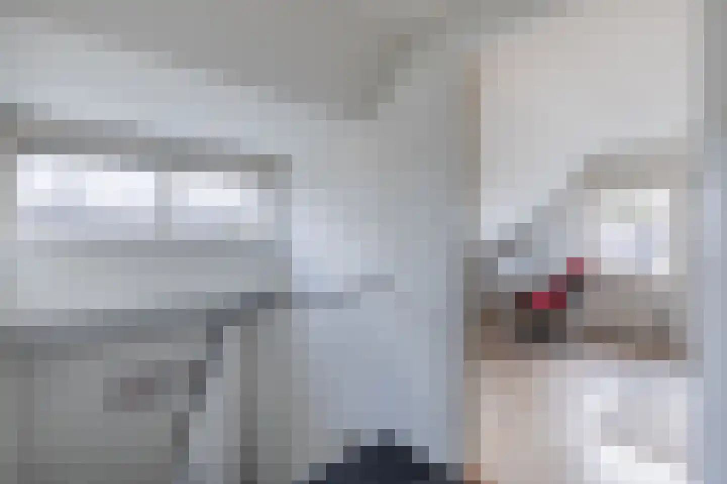 Vriezerweg 19 Tynaarlo thumbnail 39