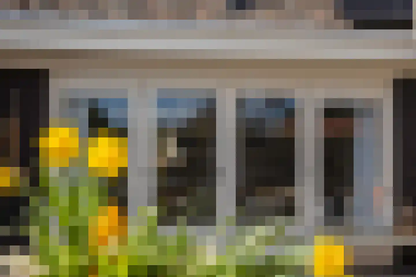 Vriezerweg 19 Tynaarlo thumbnail 43