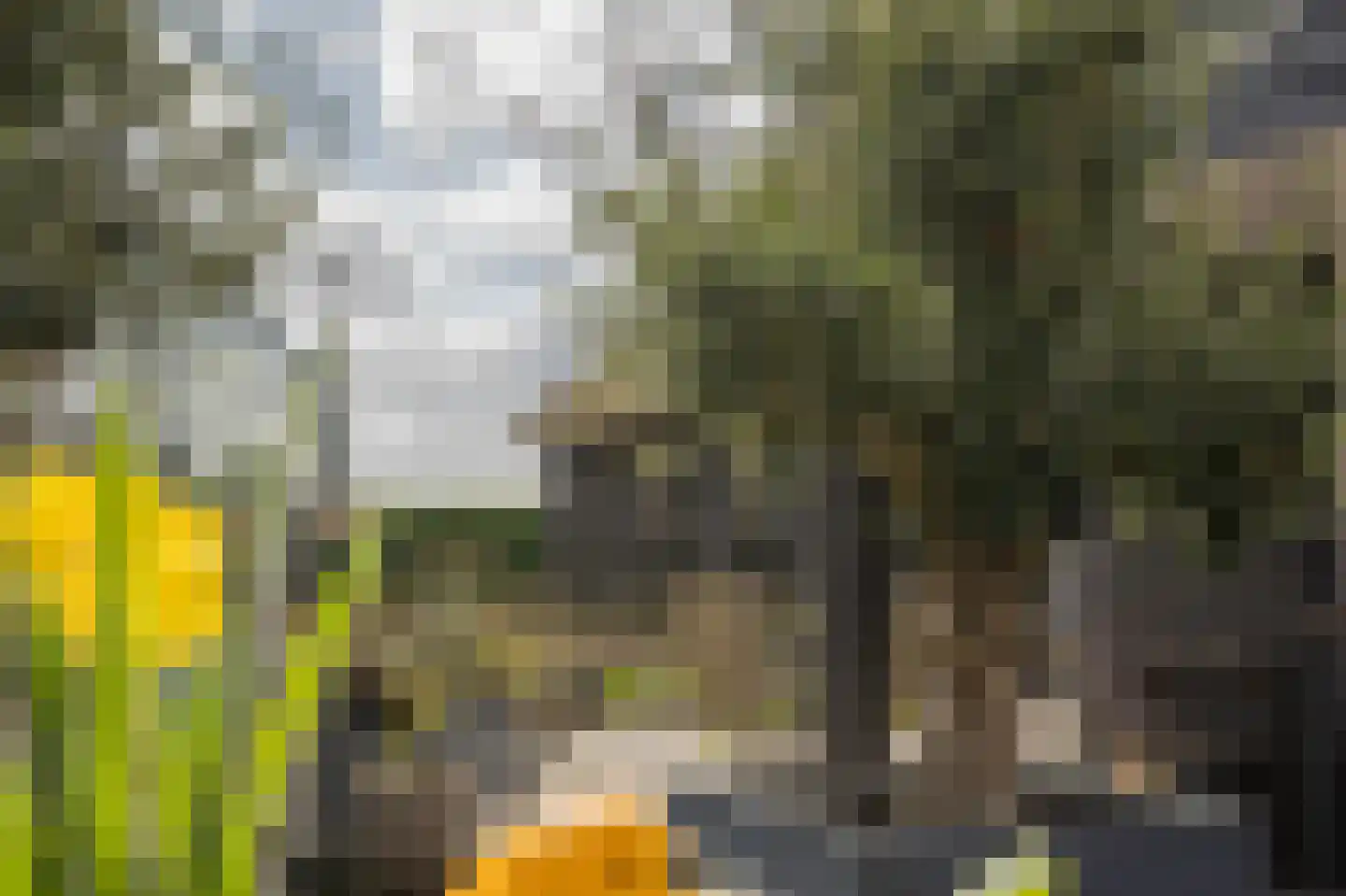 Vriezerweg 19 Tynaarlo thumbnail 44