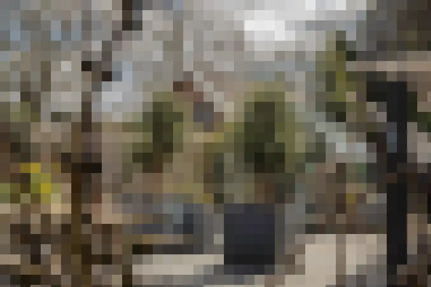 Vriezerweg 19 Tynaarlo thumbnail 51