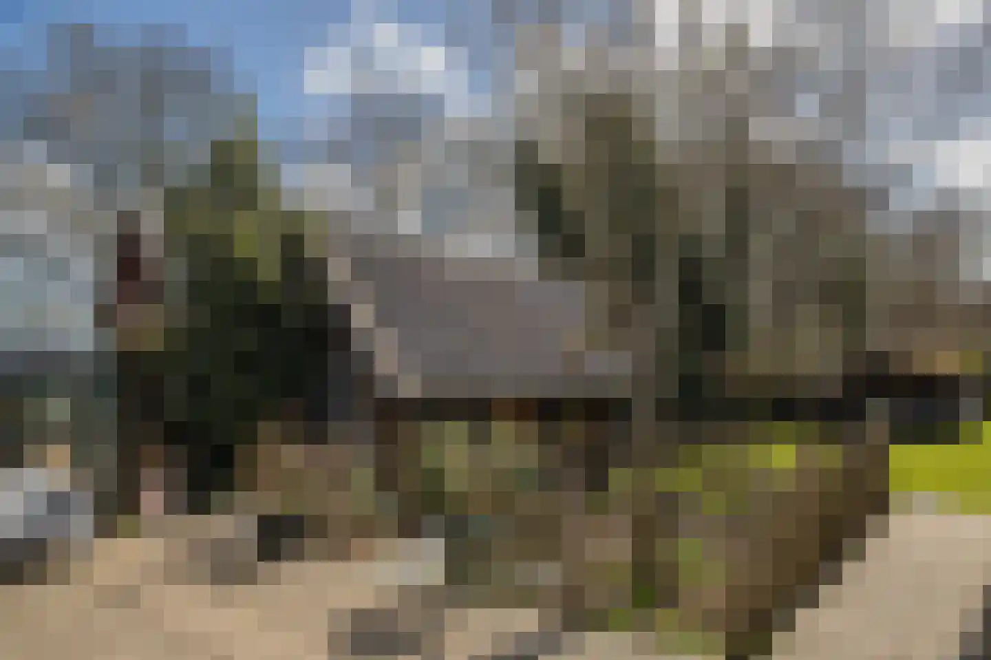Vriezerweg 19 Tynaarlo thumbnail 53