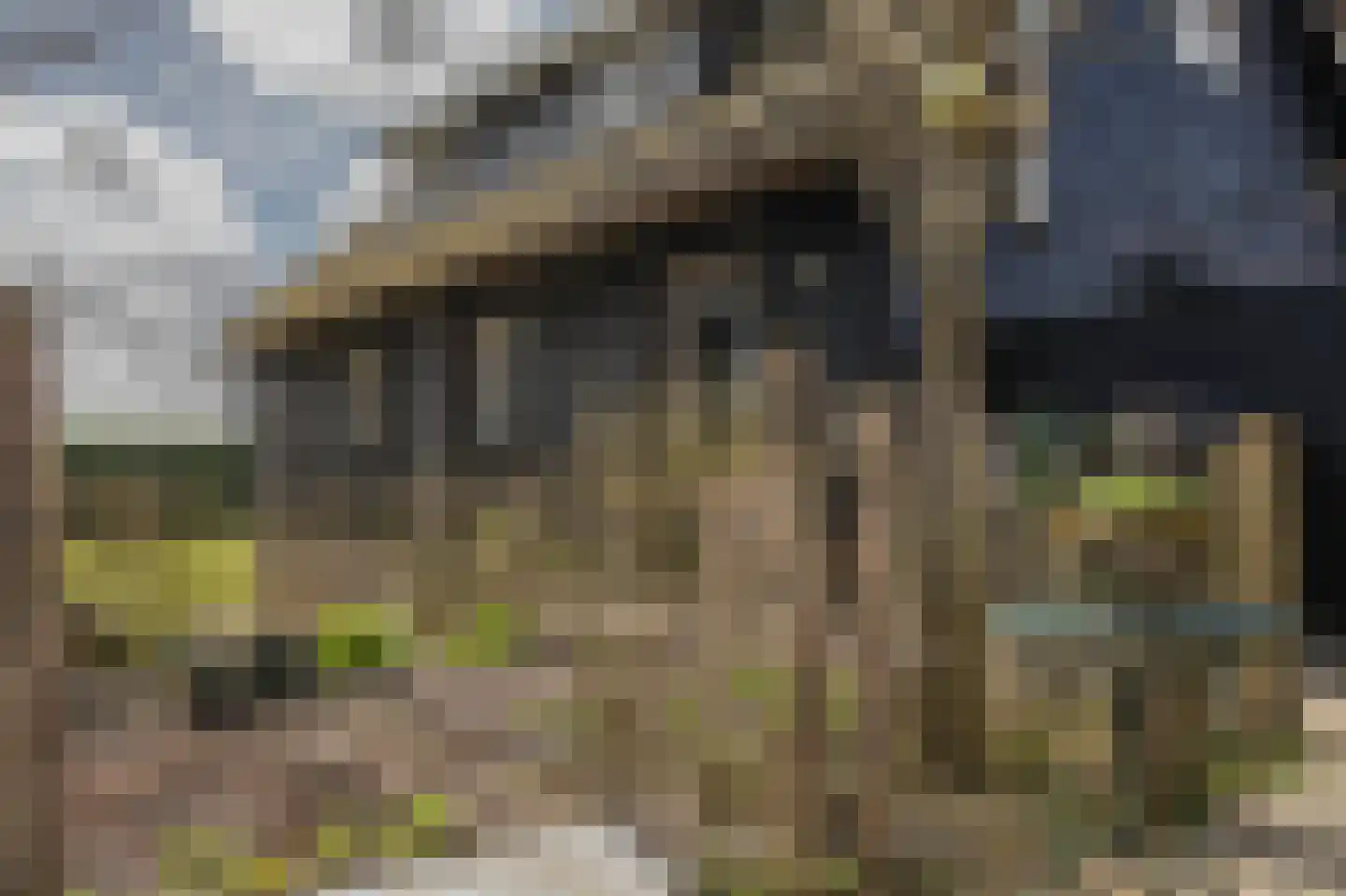 Vriezerweg 19 Tynaarlo thumbnail 54