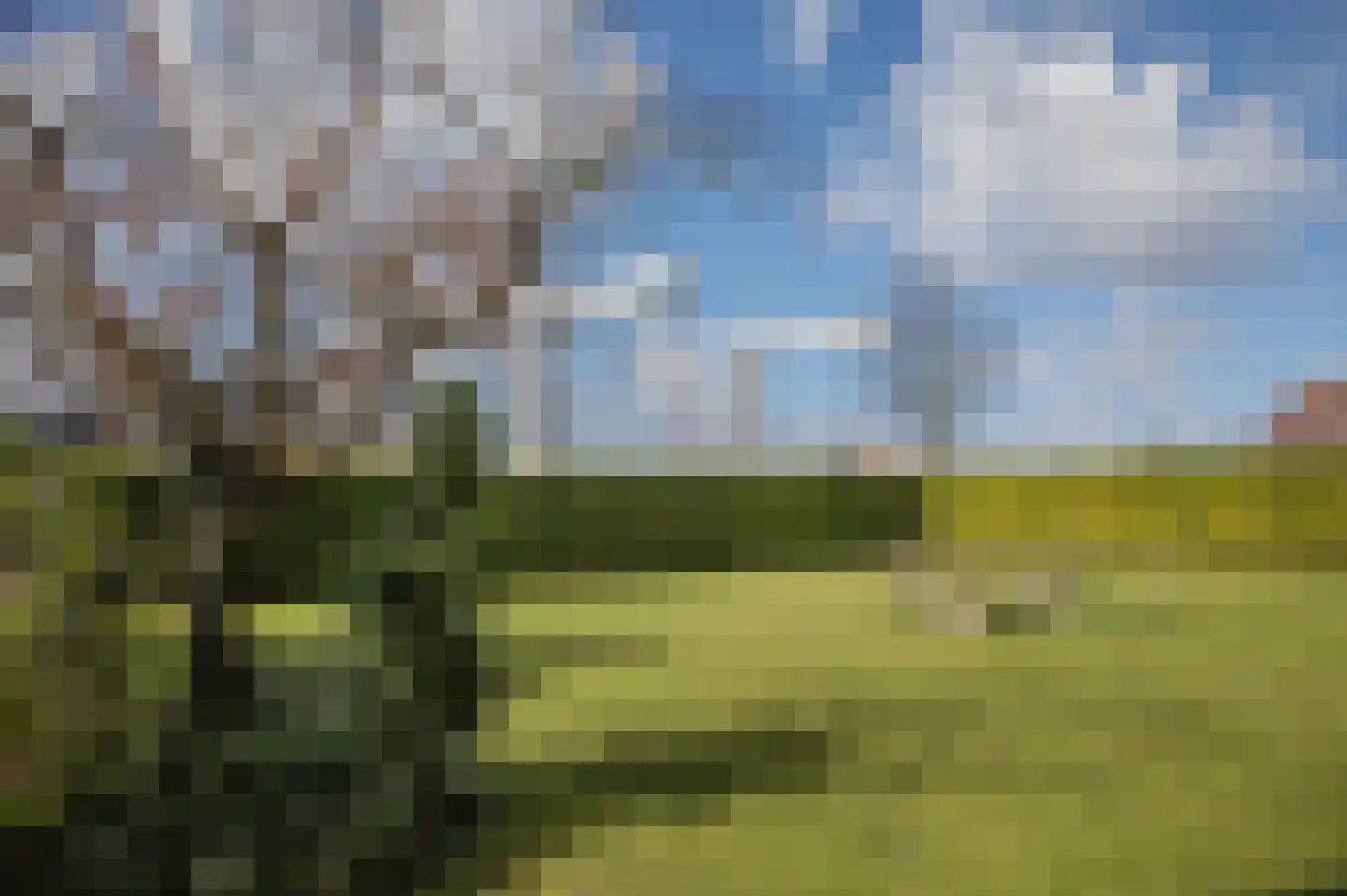 Vriezerweg 19 Tynaarlo thumbnail 56