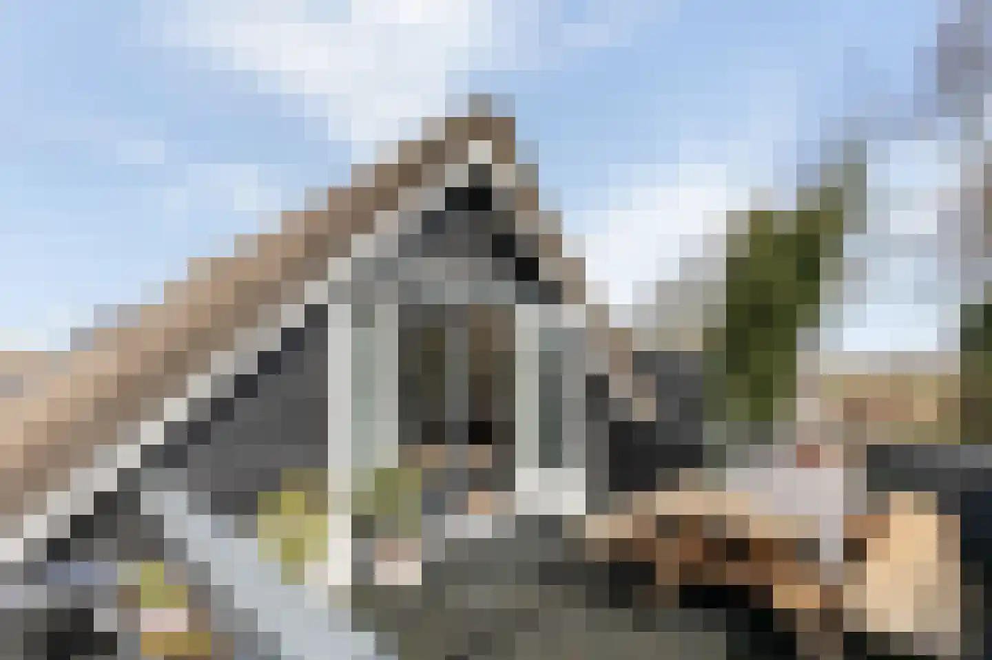 Vriezerweg 19 Tynaarlo thumbnail 58
