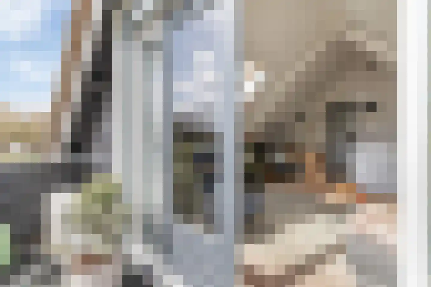Vriezerweg 19 Tynaarlo thumbnail 61