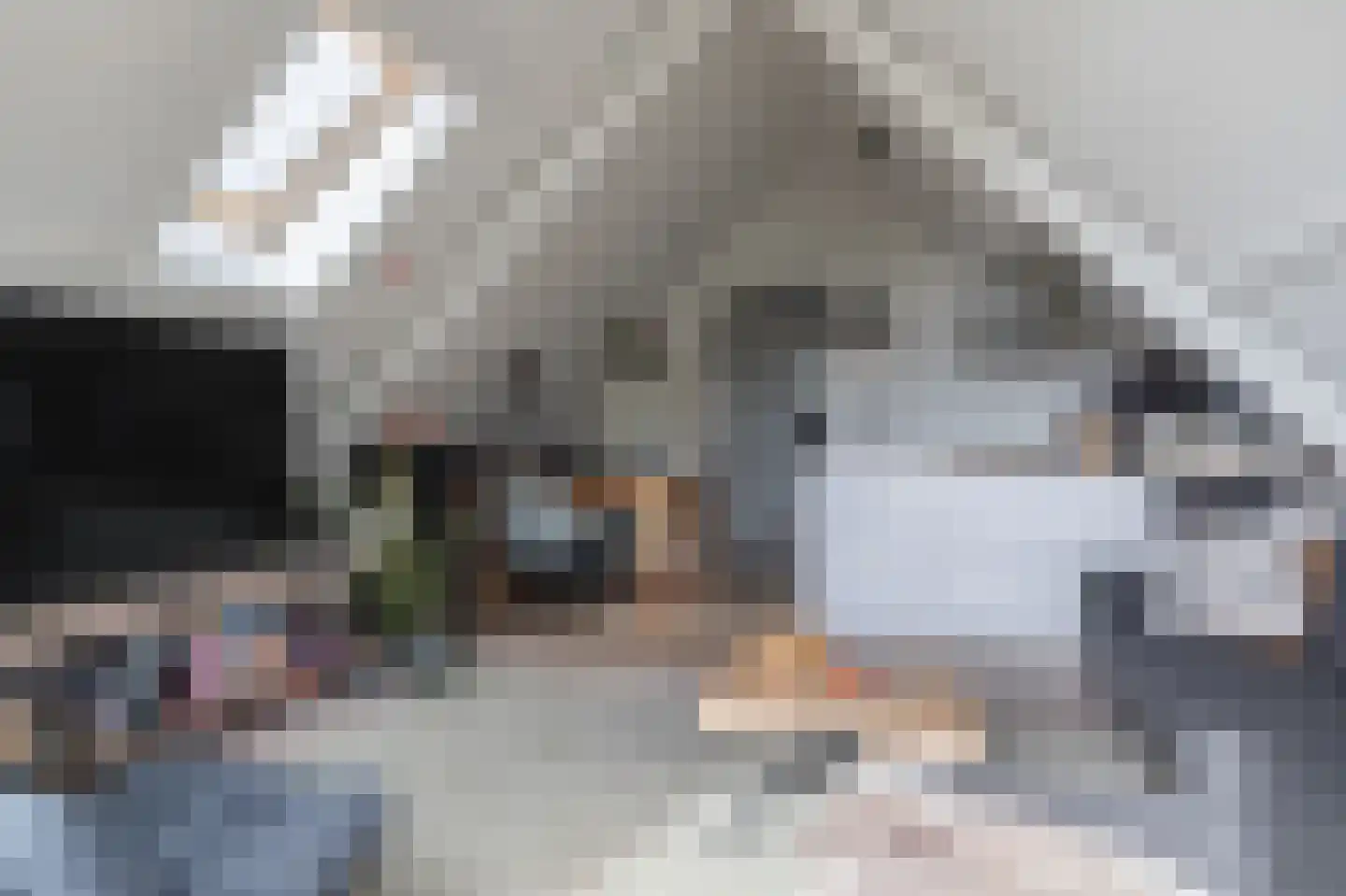 Vriezerweg 19 Tynaarlo thumbnail 62
