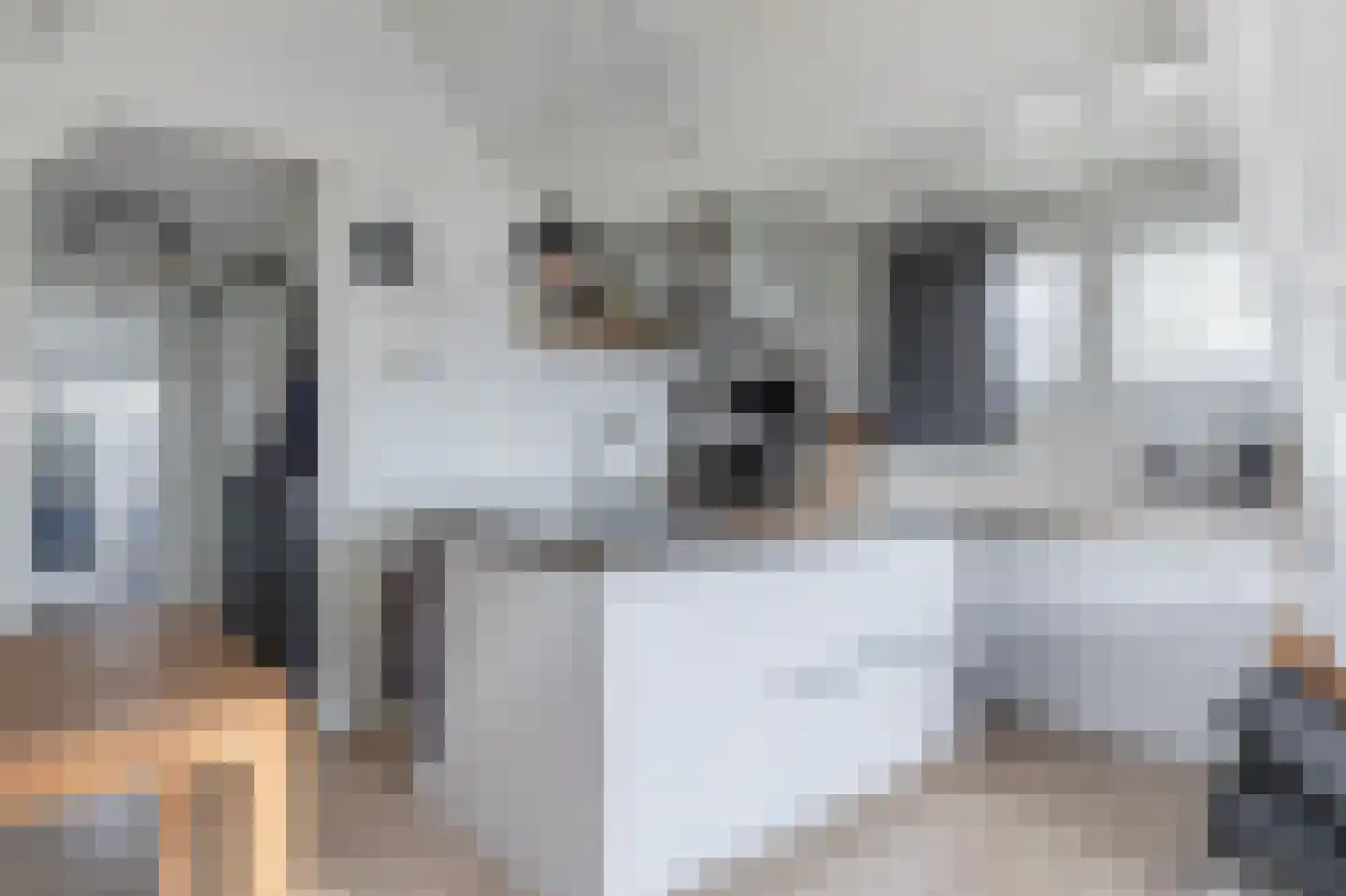 Vriezerweg 19 Tynaarlo thumbnail 65