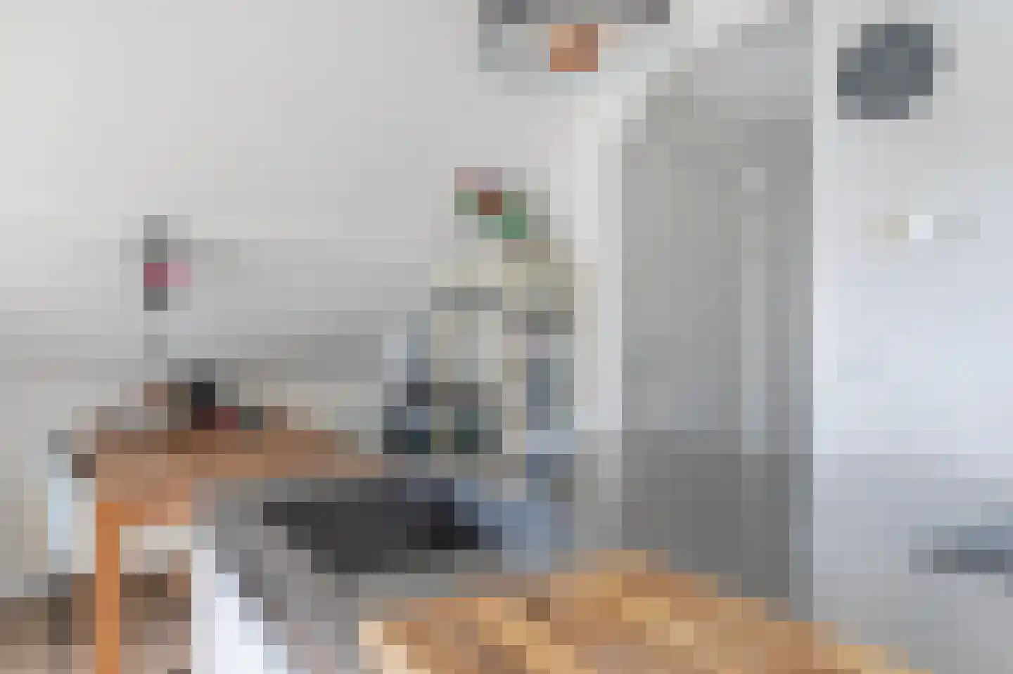 Vriezerweg 19 Tynaarlo thumbnail 66