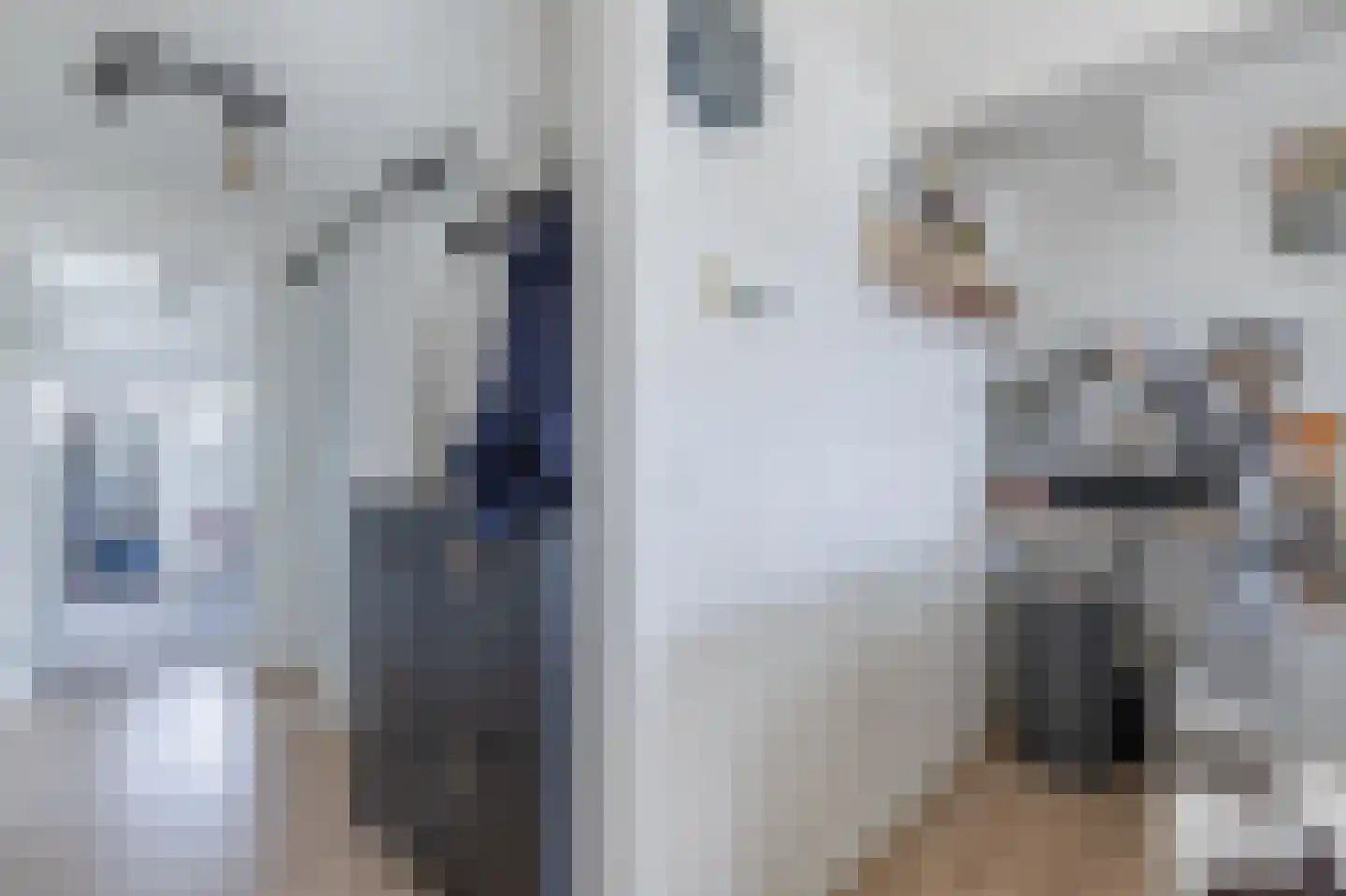 Vriezerweg 19 Tynaarlo thumbnail 67