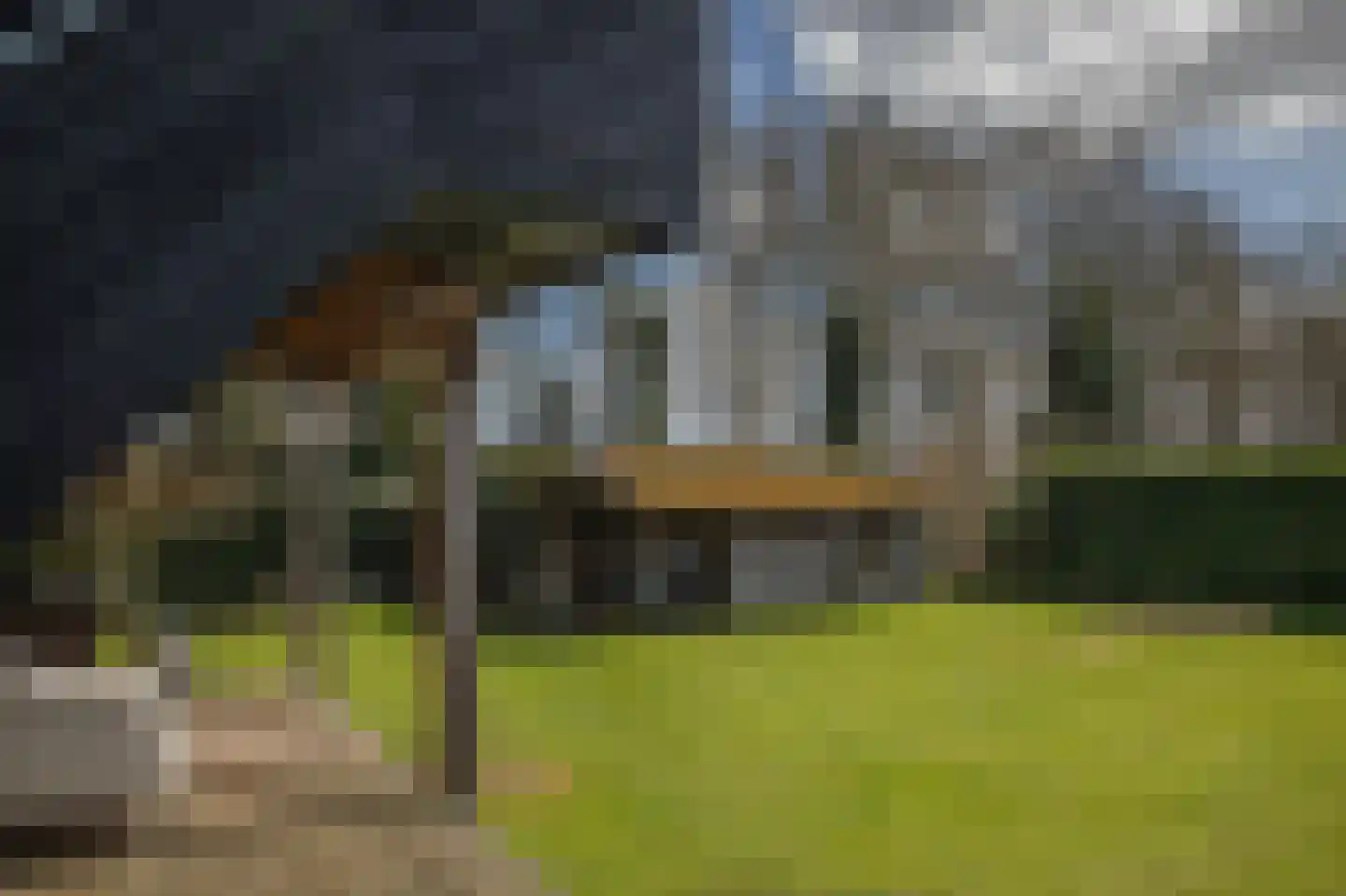 Vriezerweg 19 Tynaarlo thumbnail 70