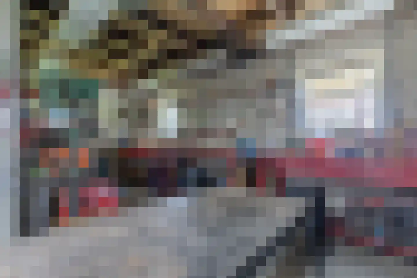 Vriezerweg 19 Tynaarlo thumbnail 72