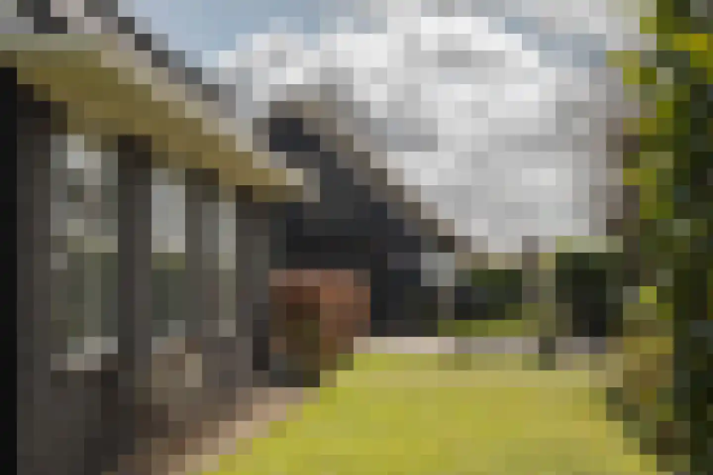 Vriezerweg 19 Tynaarlo thumbnail 74
