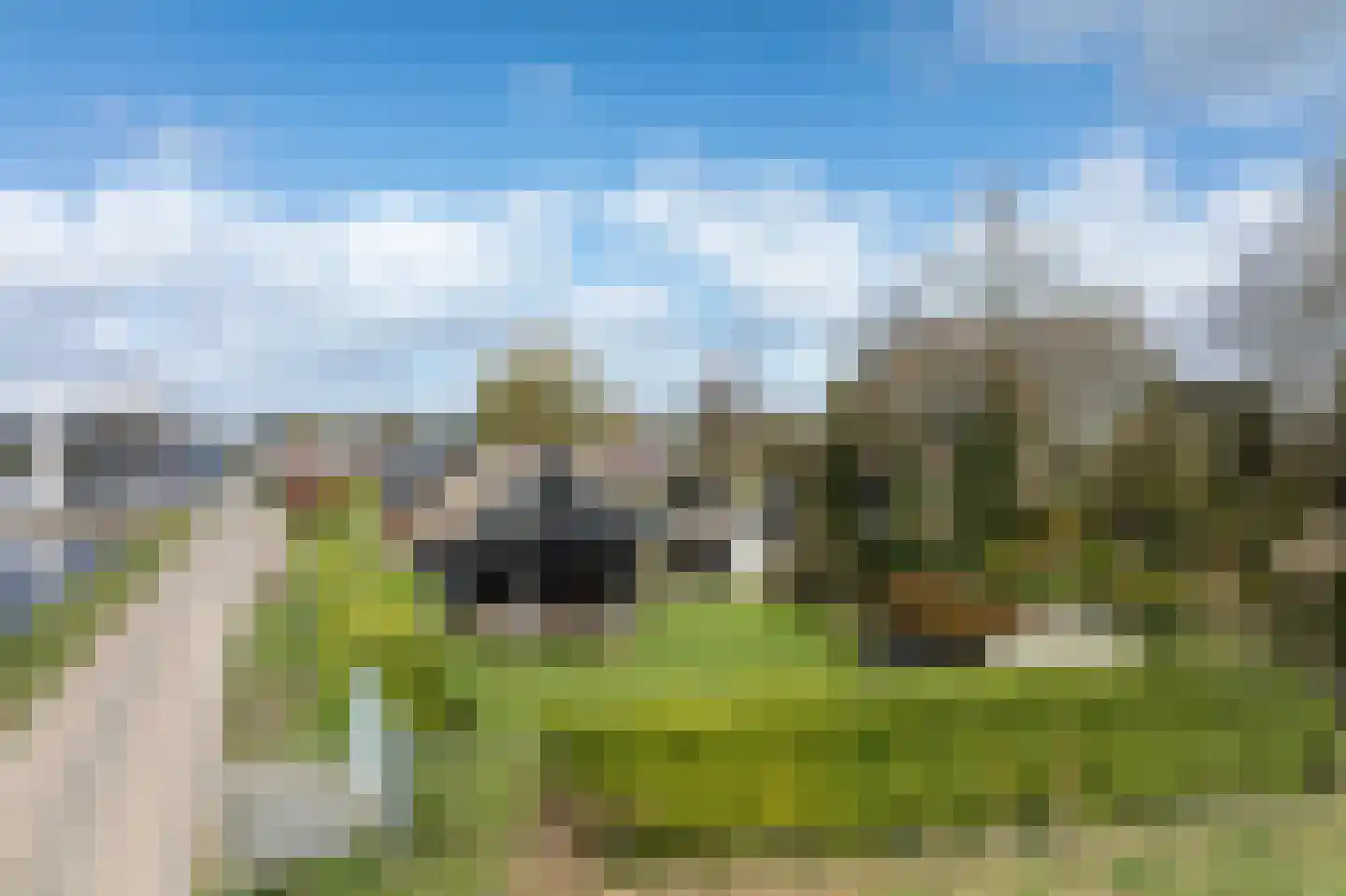 Vriezerweg 19 Tynaarlo thumbnail 80