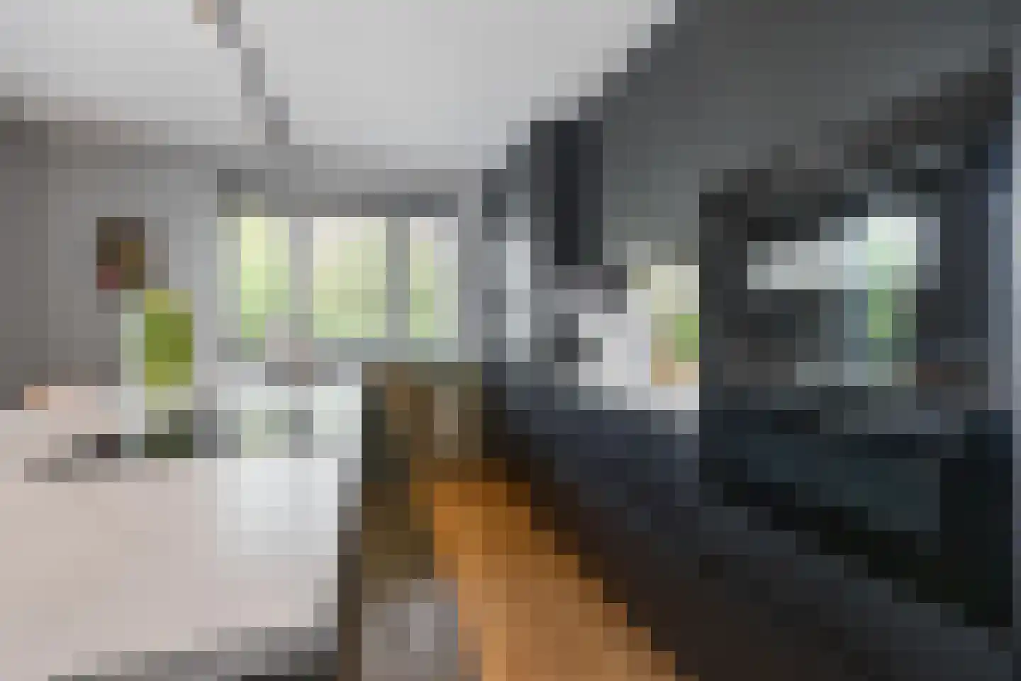 Vriezeweg 101 Deest thumbnail 10