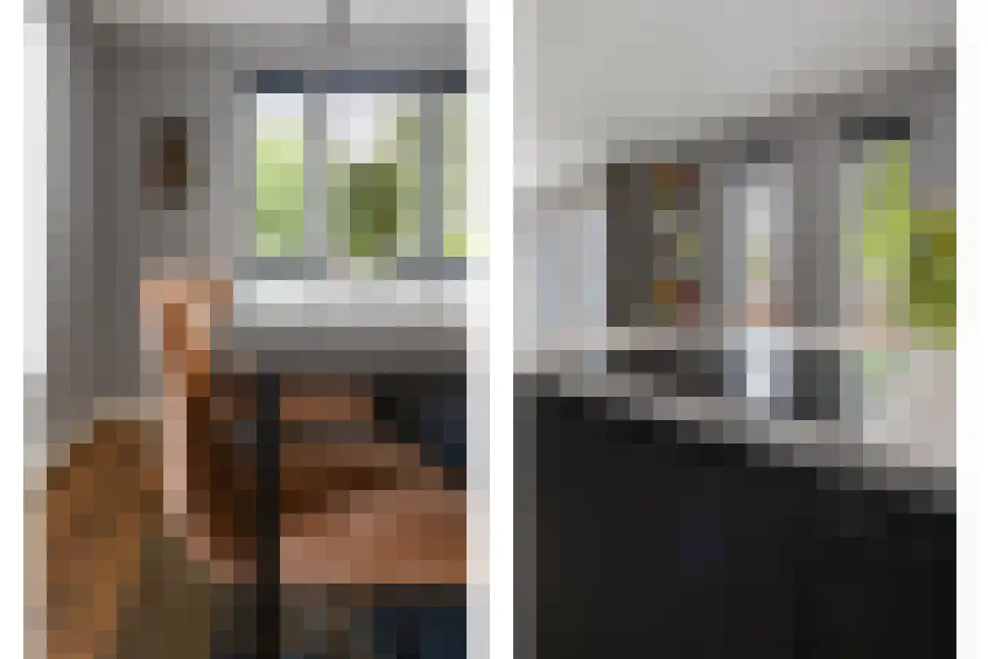 Vriezeweg 101 Deest thumbnail 11