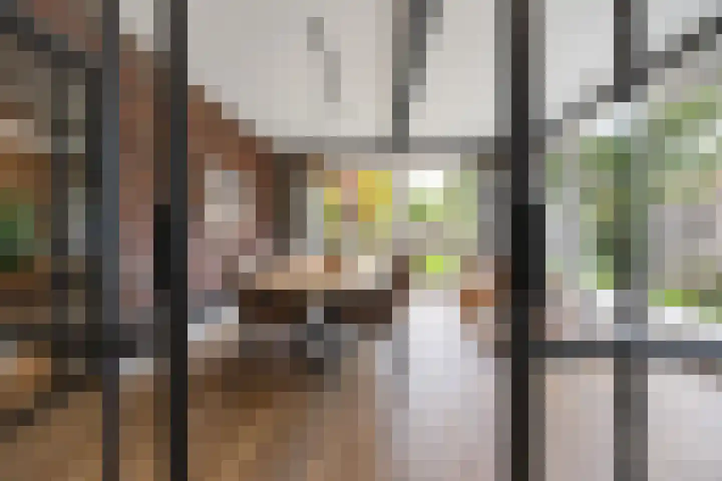 Vriezeweg 101 Deest thumbnail 14