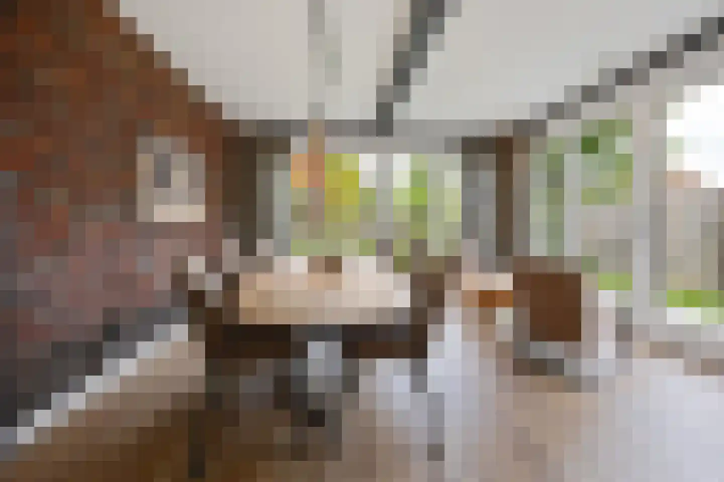 Vriezeweg 101 Deest thumbnail 15