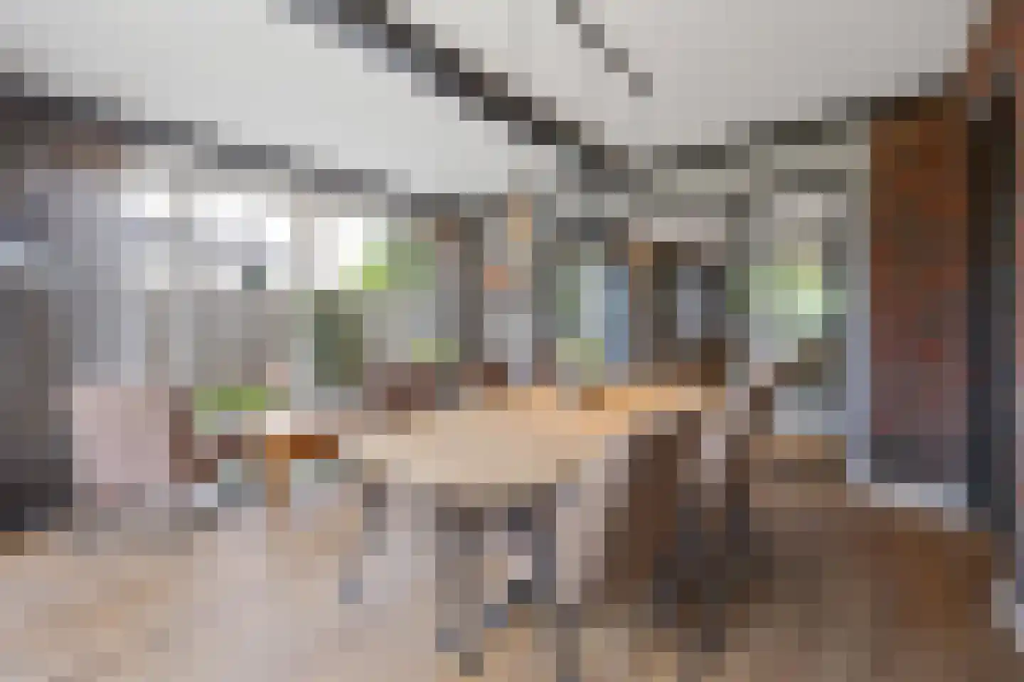 Vriezeweg 101 Deest thumbnail 16