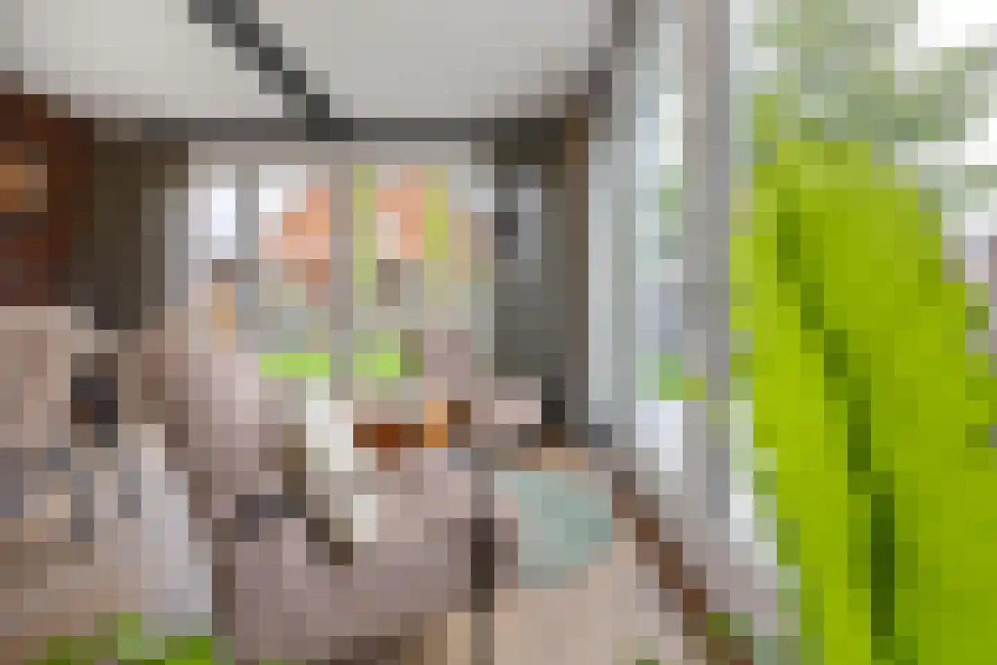 Vriezeweg 101 Deest thumbnail 17