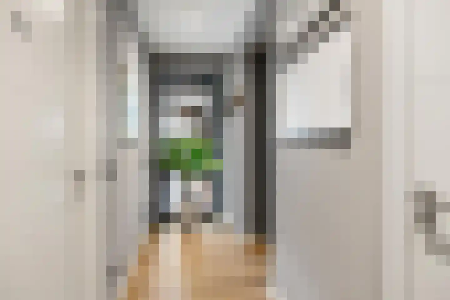 Vriezeweg 101 Deest thumbnail 19
