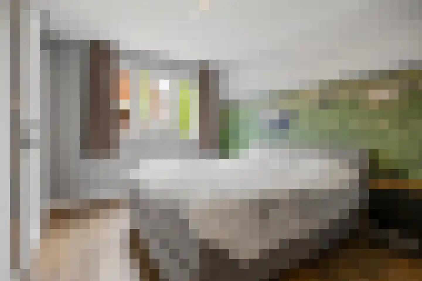 Vriezeweg 101 Deest thumbnail 20