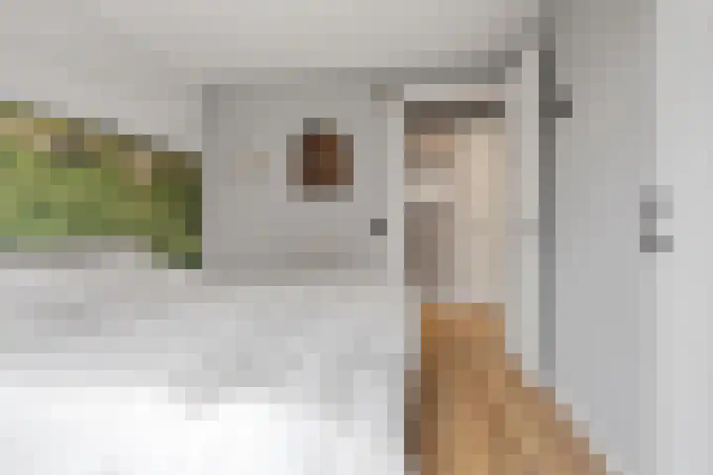 Vriezeweg 101 Deest thumbnail 21
