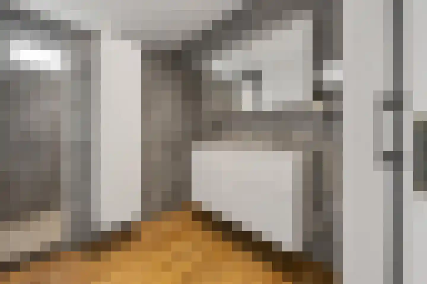 Vriezeweg 101 Deest thumbnail 23