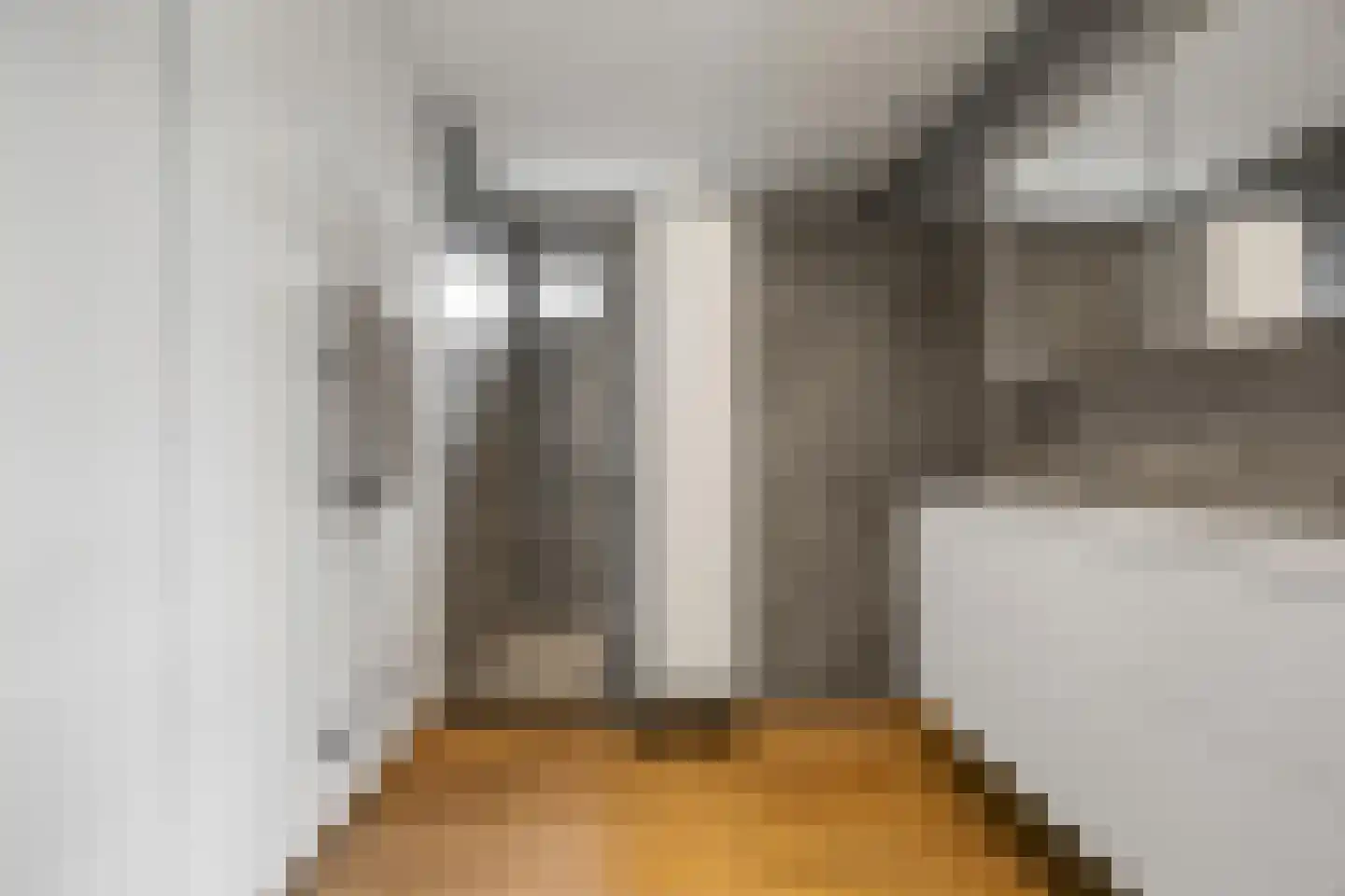 Vriezeweg 101 Deest thumbnail 24