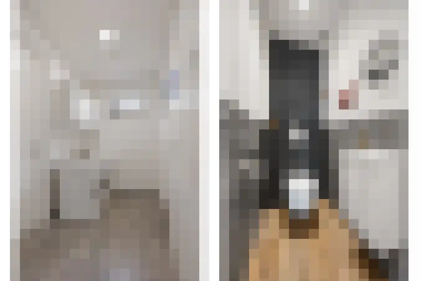 Vriezeweg 101 Deest thumbnail 27