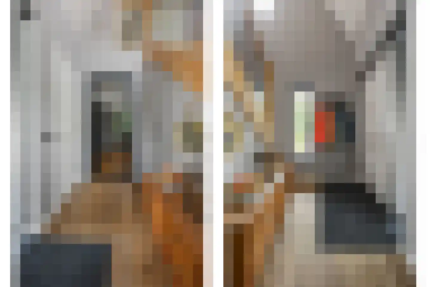 Vriezeweg 101 Deest thumbnail 28