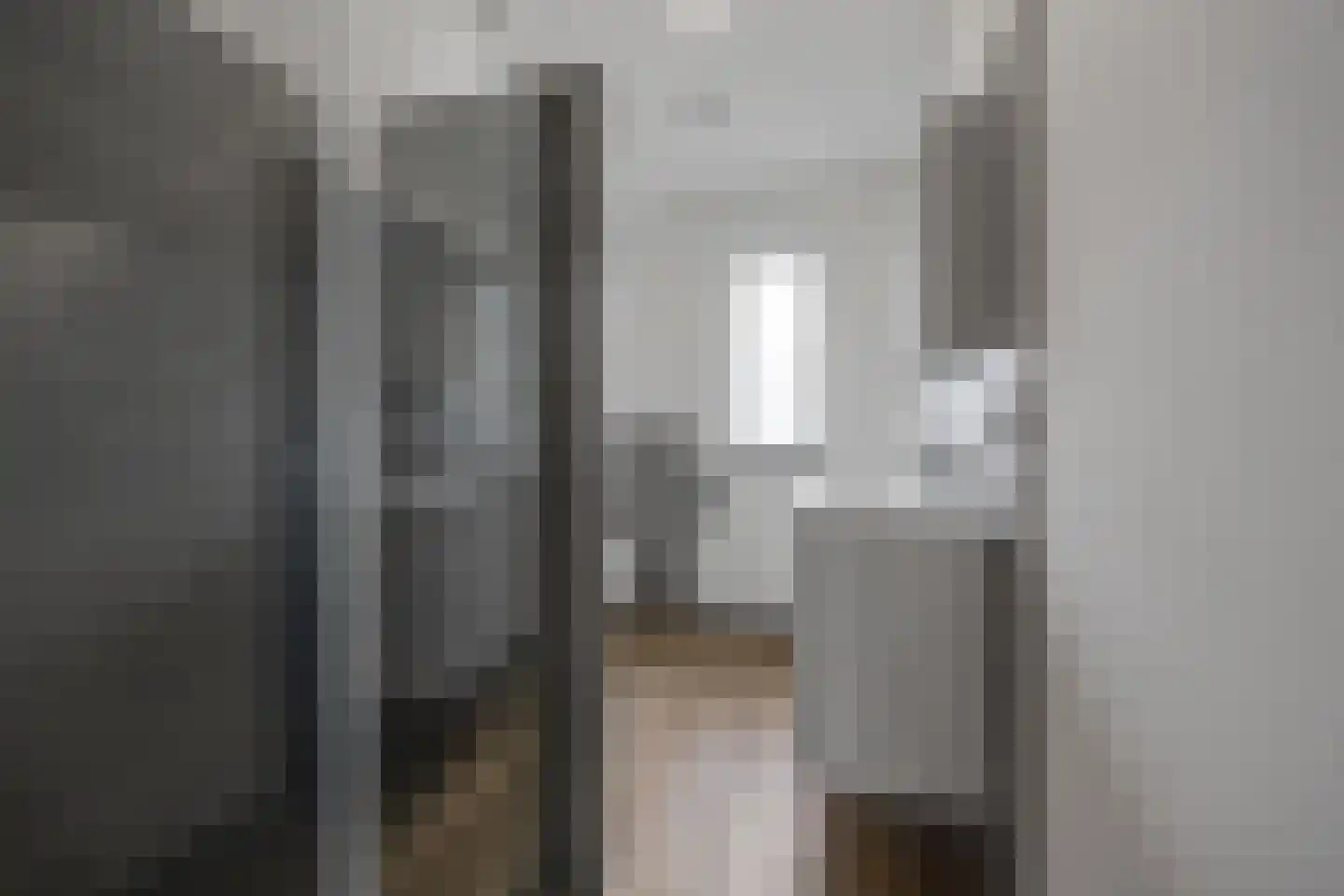Vriezeweg 101 Deest thumbnail 30