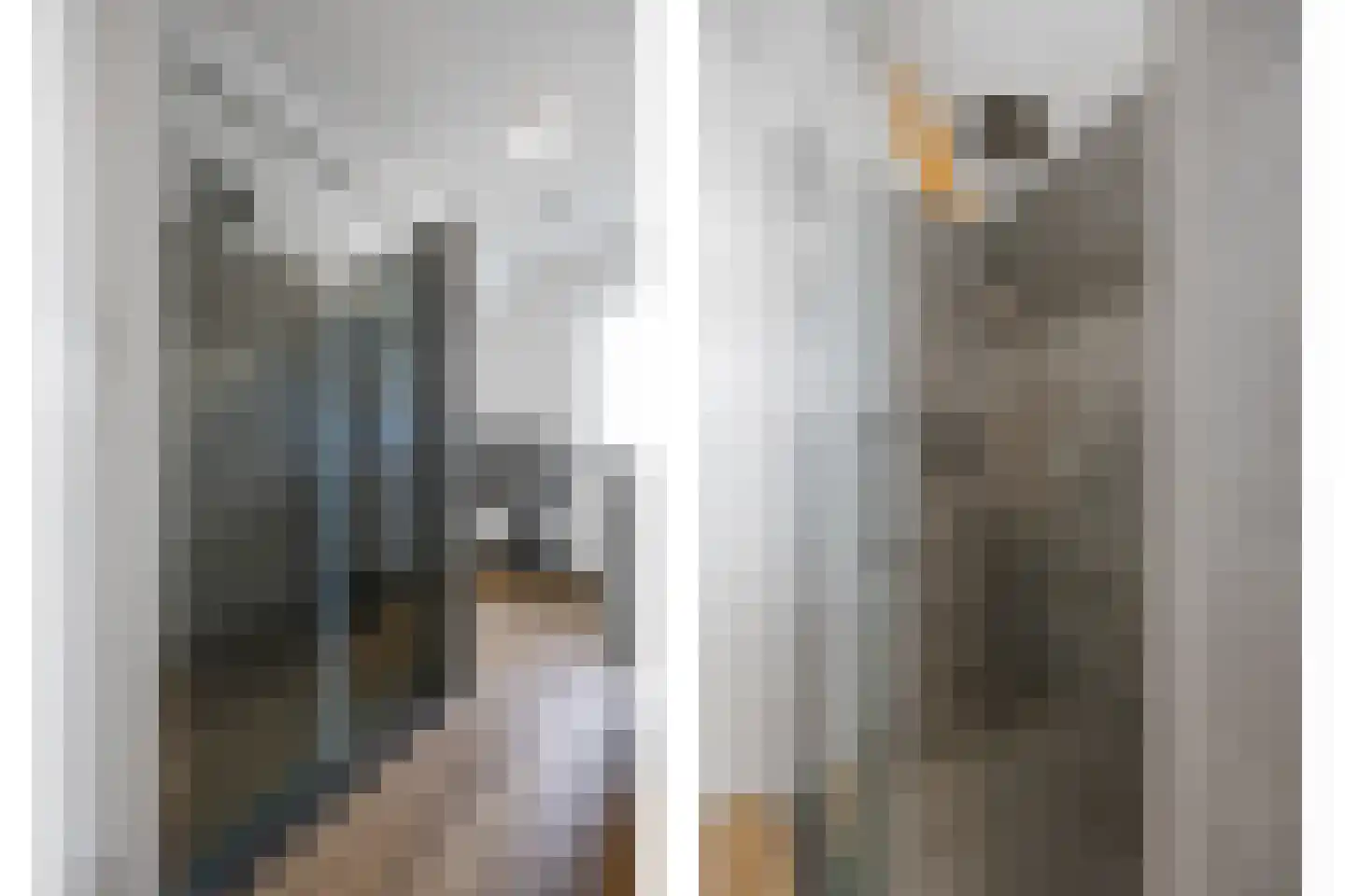 Vriezeweg 101 Deest thumbnail 31