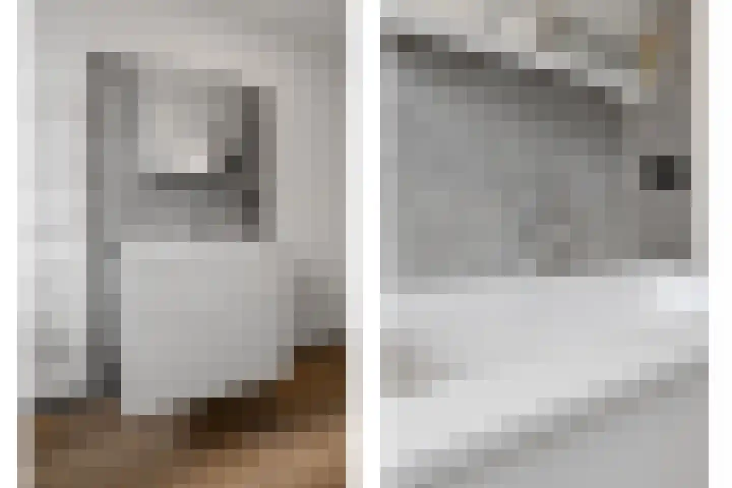 Vriezeweg 101 Deest thumbnail 33