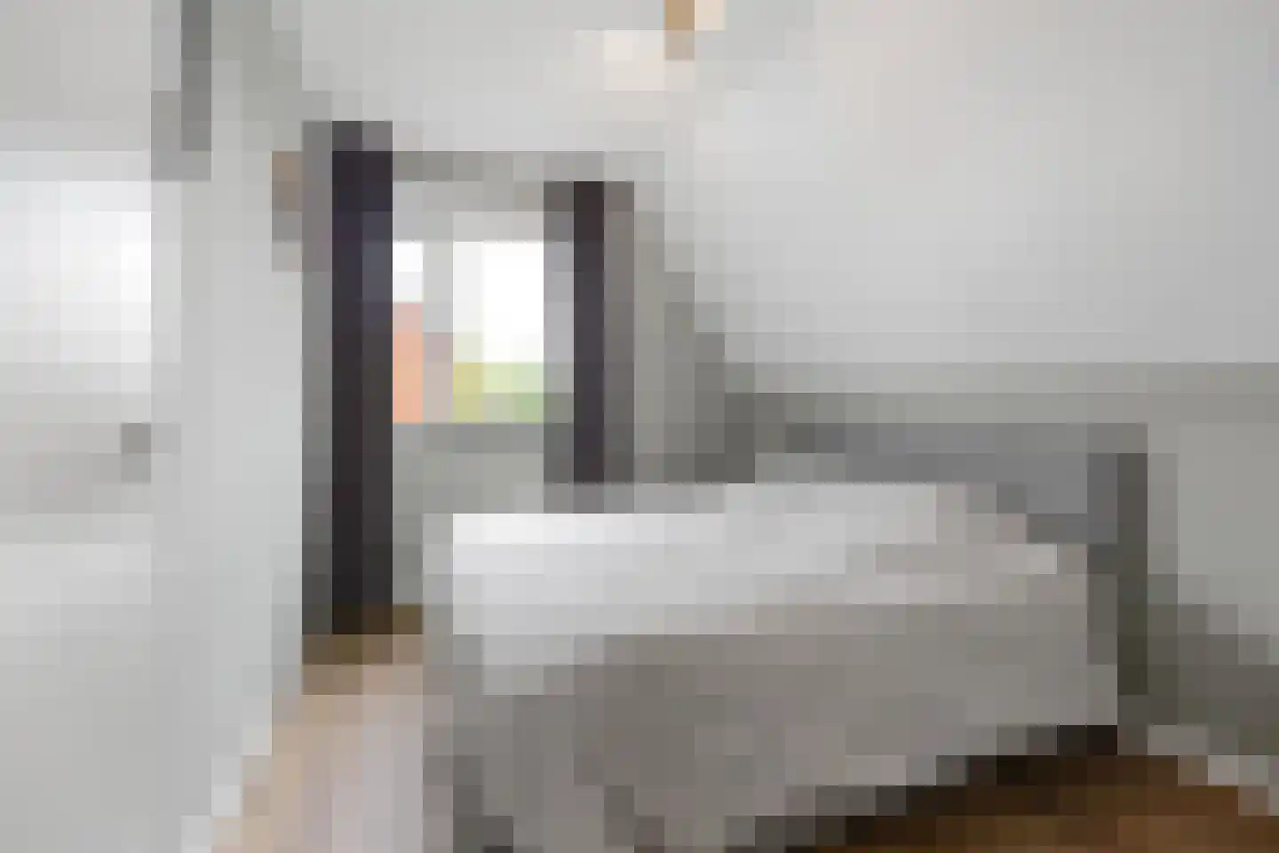 Vriezeweg 101 Deest thumbnail 34