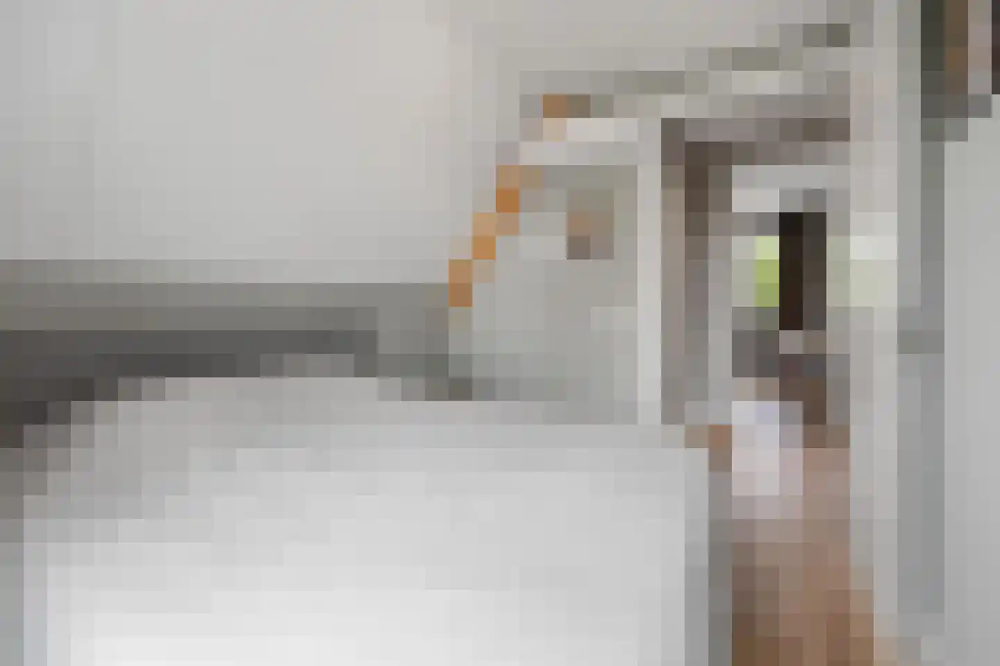 Vriezeweg 101 Deest thumbnail 35