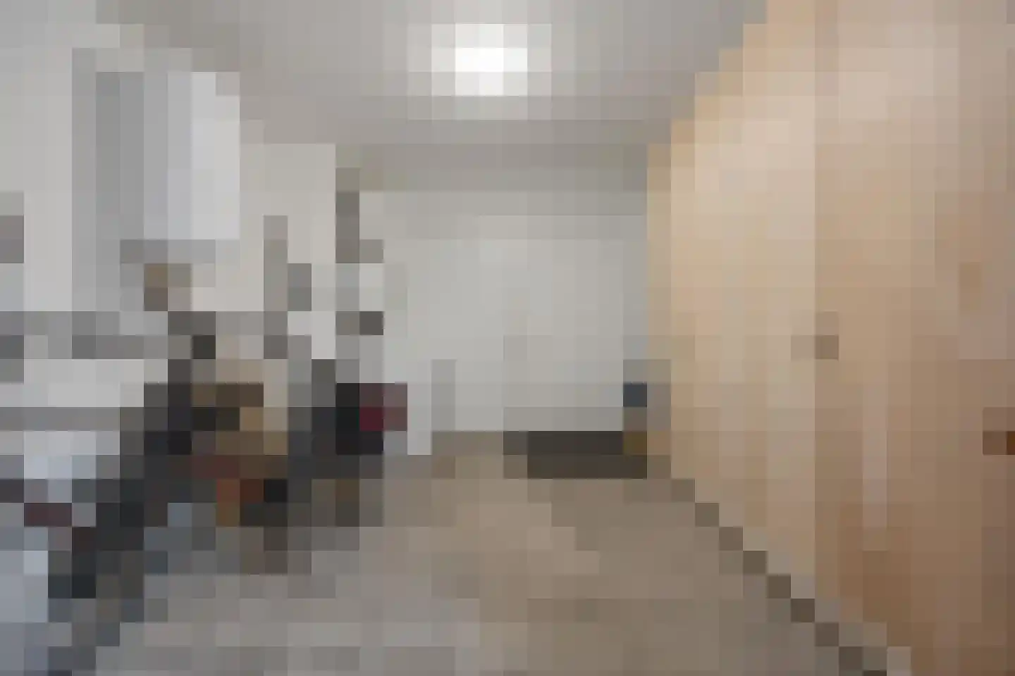 Vriezeweg 101 Deest thumbnail 38