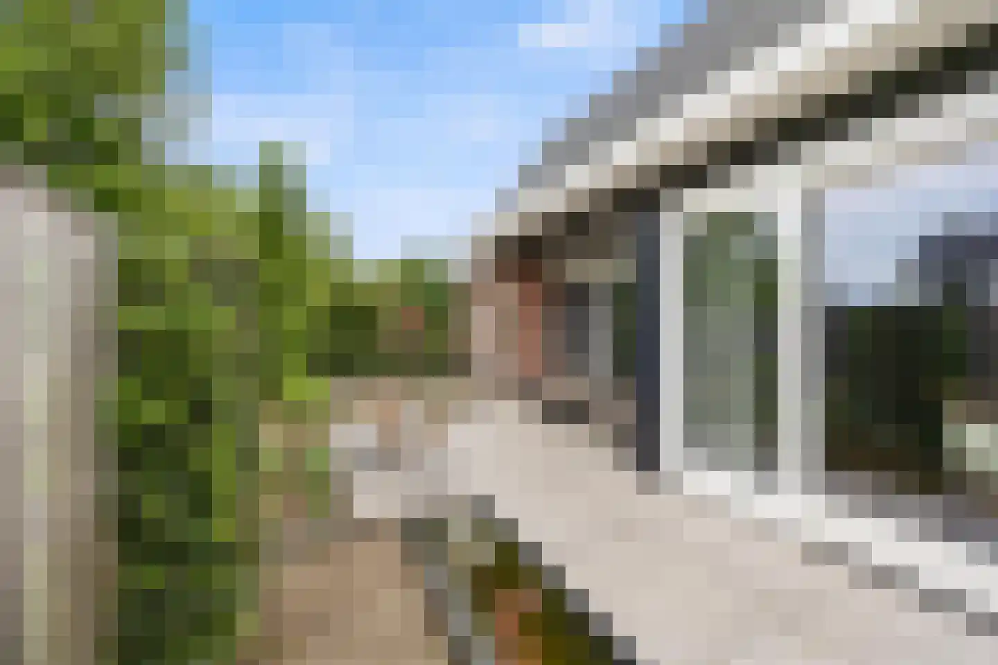 Vriezeweg 101 Deest thumbnail 40