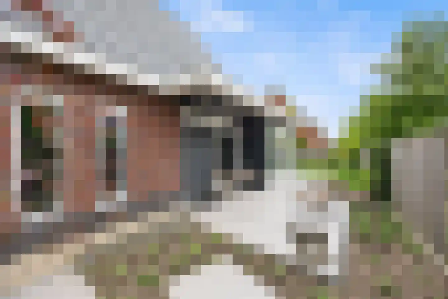Vriezeweg 101 Deest thumbnail 41