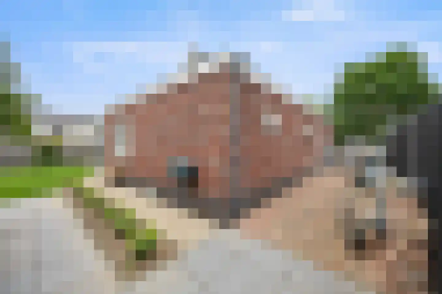 Vriezeweg 101 Deest thumbnail 46