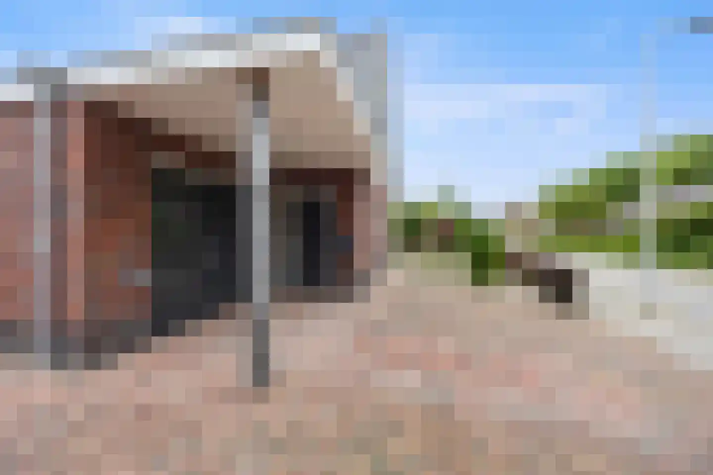 Vriezeweg 101 Deest thumbnail 48