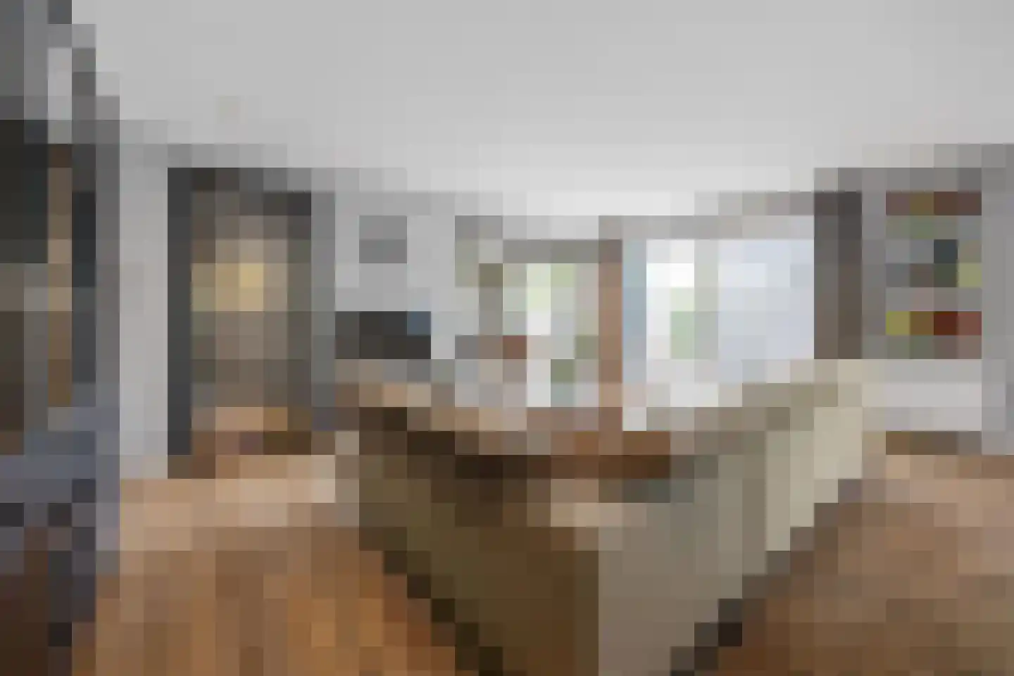 Vriezeweg 101 Deest thumbnail 5