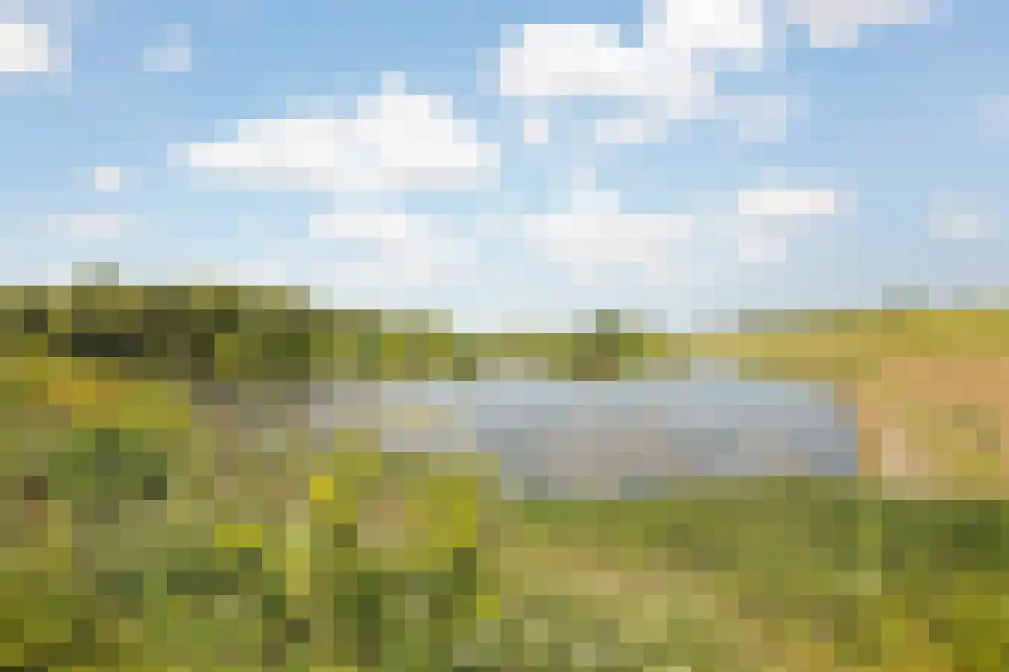 Vriezeweg 101 Deest thumbnail 53