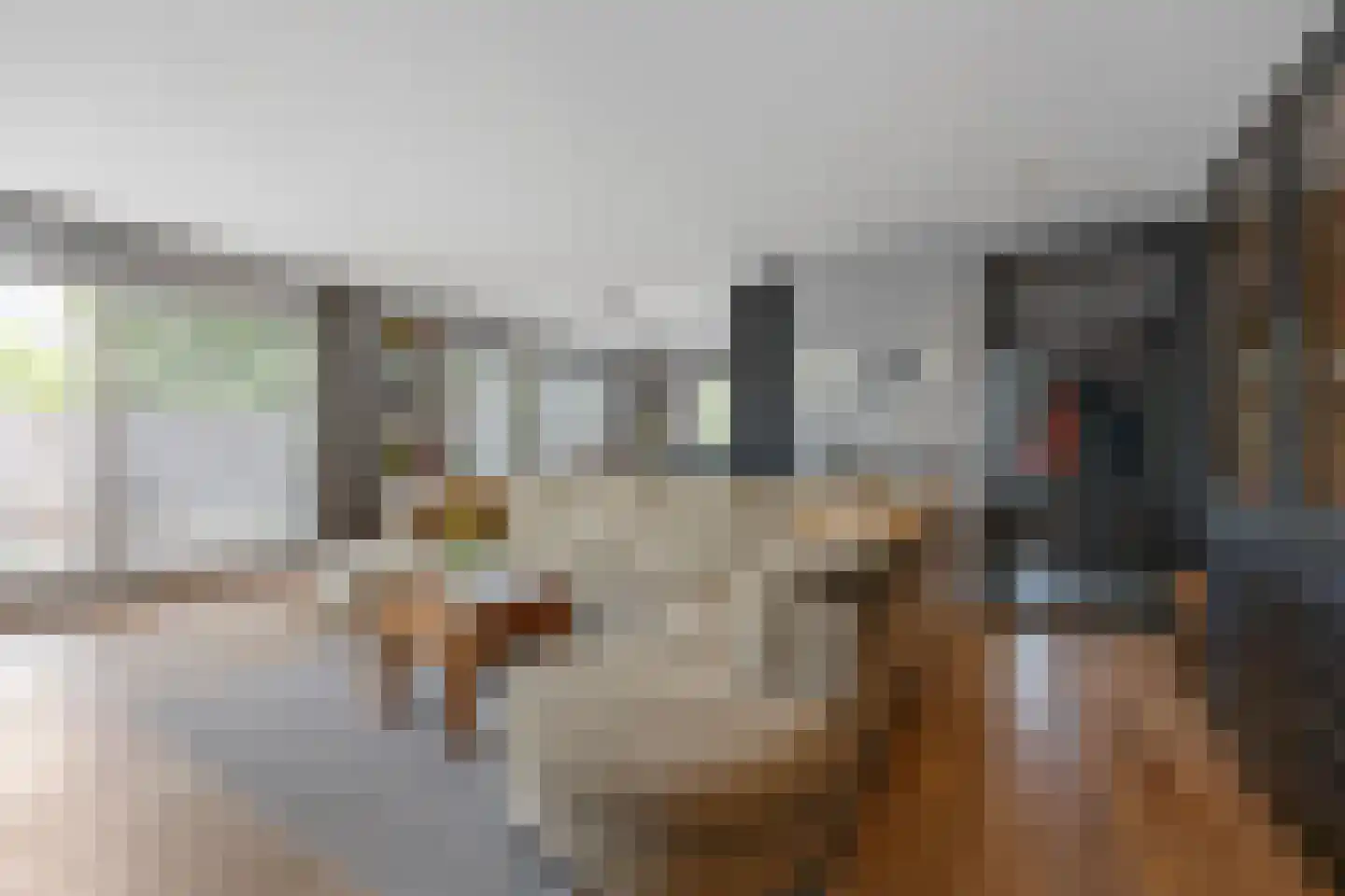 Vriezeweg 101 Deest thumbnail 6