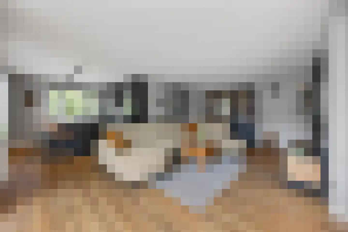 Vriezeweg 101 Deest thumbnail 7