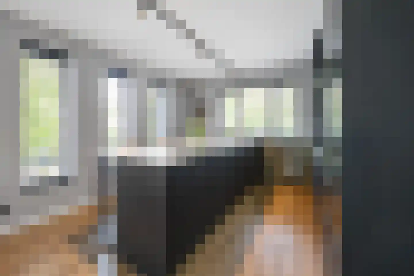 Vriezeweg 101 Deest thumbnail 9