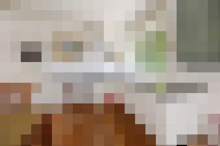 Vriezeweg 22 Deest thumbnail 11
