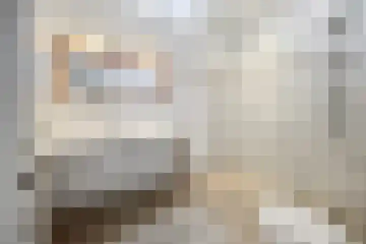 Vriezeweg 22 Deest thumbnail 17